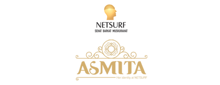 netsurflogo